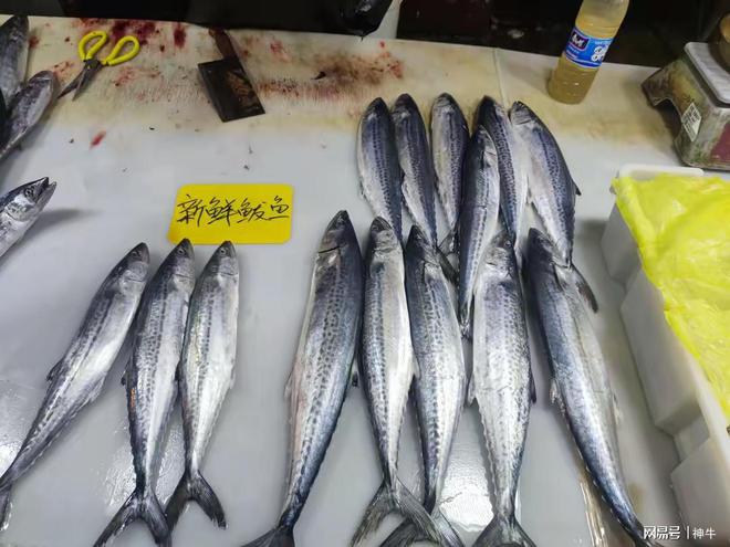 年蛇月蛇日蛇时相聚首4件大事别忘了做麻将胡了app四月初三是“吉日”蛇(图3)