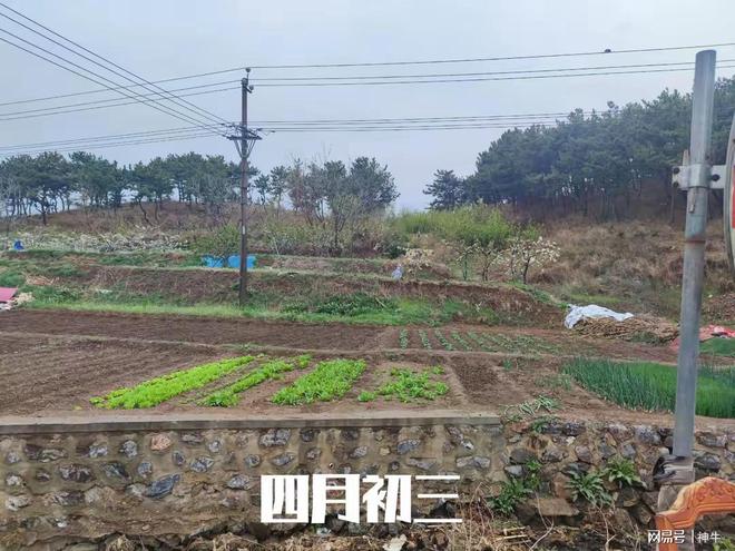 年蛇月蛇日蛇时相聚首4件大事别忘了做麻将胡了app四月初三是“吉日”蛇(图1)