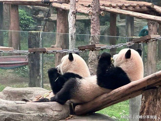 重庆3日游自由行必备攻略建议收藏麻将胡了2模拟器什么时候去重庆最好